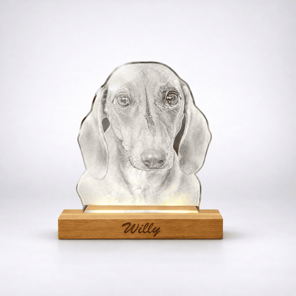 Fotogravur auf Acryl personalisierte LED Fotolampe mit Hundegravur