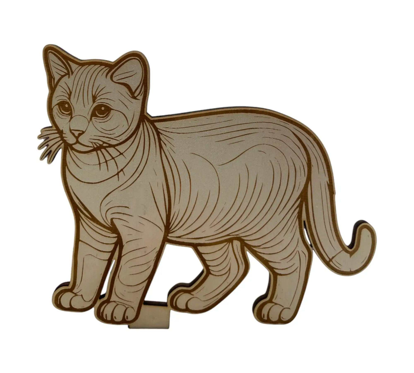 Kreative Verpackung für Gutscheine mit Katze